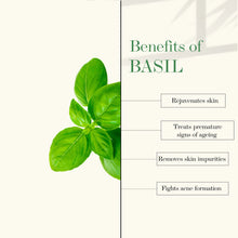 Good Vibes Lime And Basil Softening Face Cream - 50 g - Rich in Vitamin C, Helps Tighten Wrinkles & Keeps Skin Young - Cruelty Free