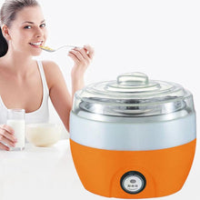 Compact yogurt maker for home use.