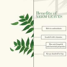 Good Vibes Lime And Basil Softening Face Cream - 50 g - Rich in Vitamin C, Helps Tighten Wrinkles & Keeps Skin Young - Cruelty Free